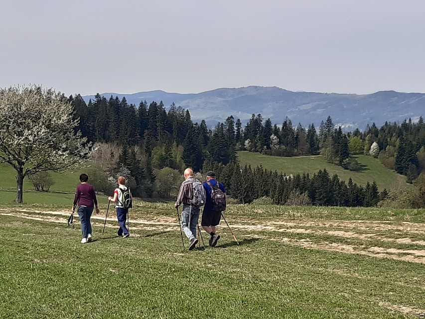 img00021.jpg