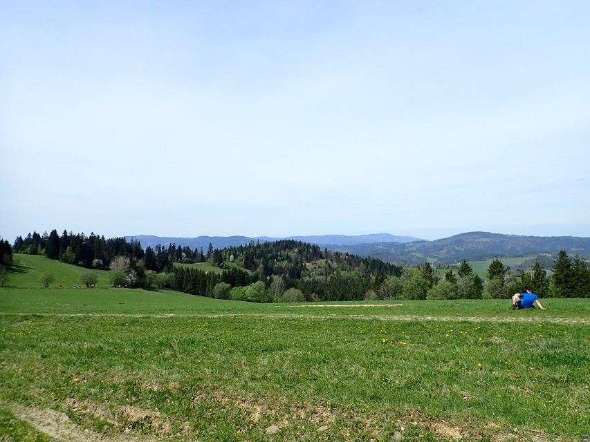 img00024.jpg