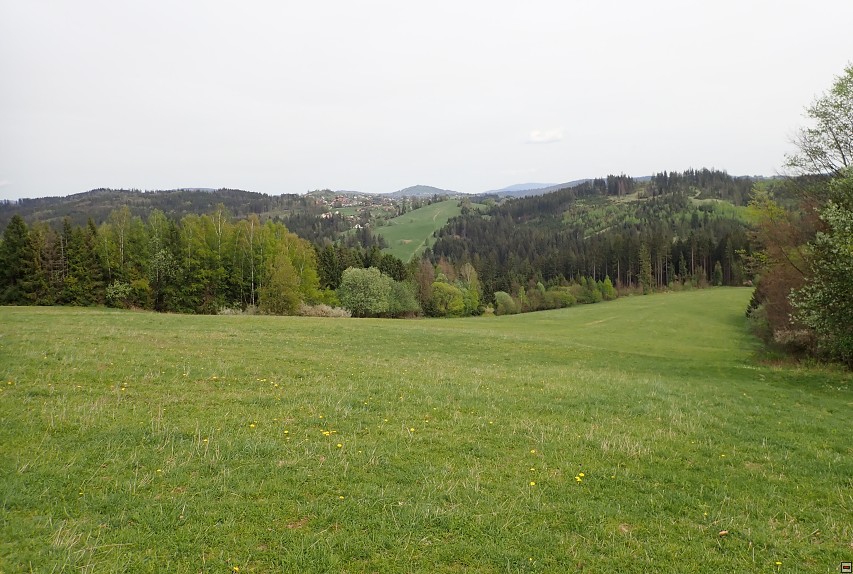 img00042.jpg