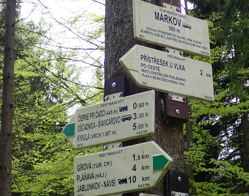 img00045.jpg