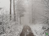 thn00059.jpg