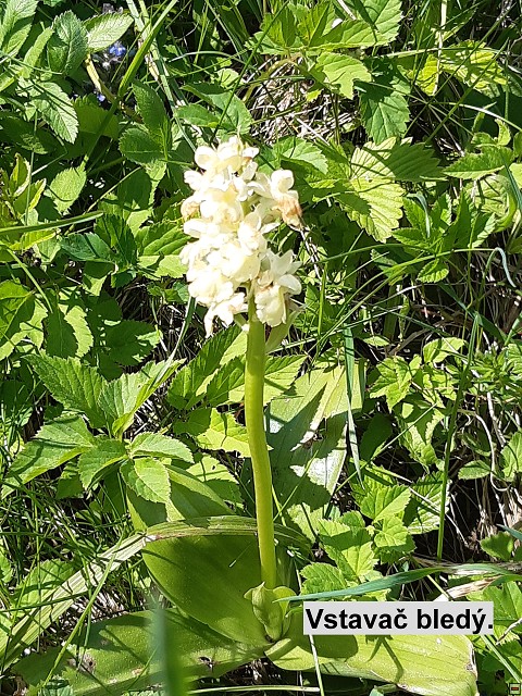 img00014.jpg