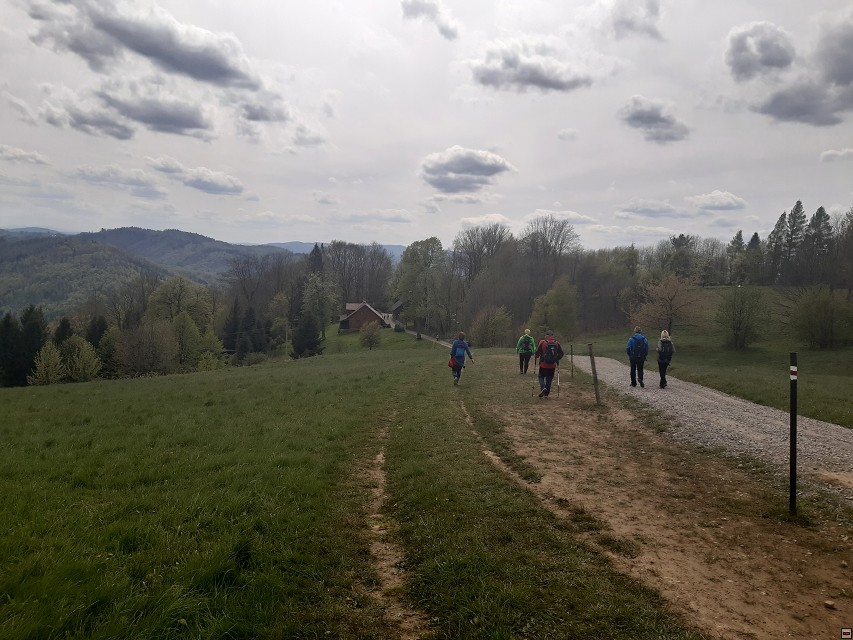img00033.jpg