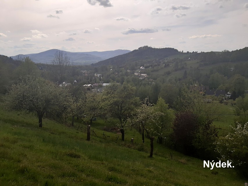 img00050.jpg