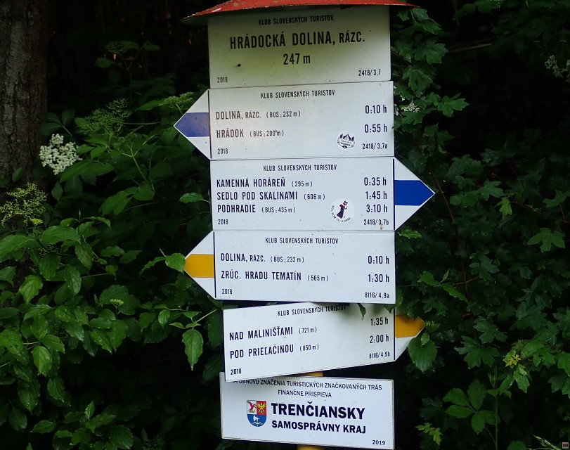 img00003.jpg