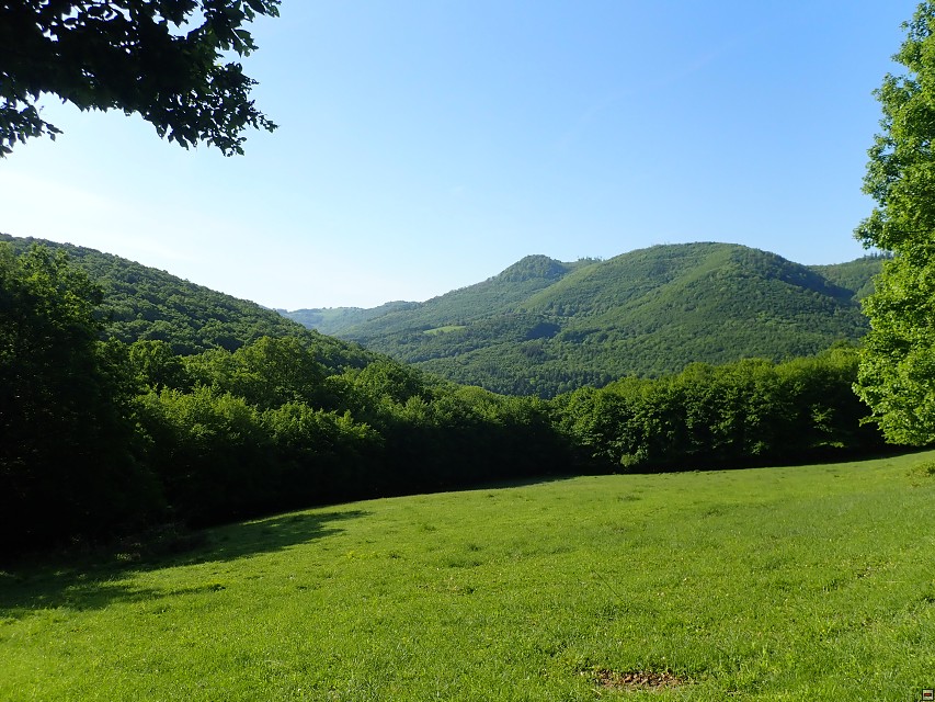 img00007.jpg