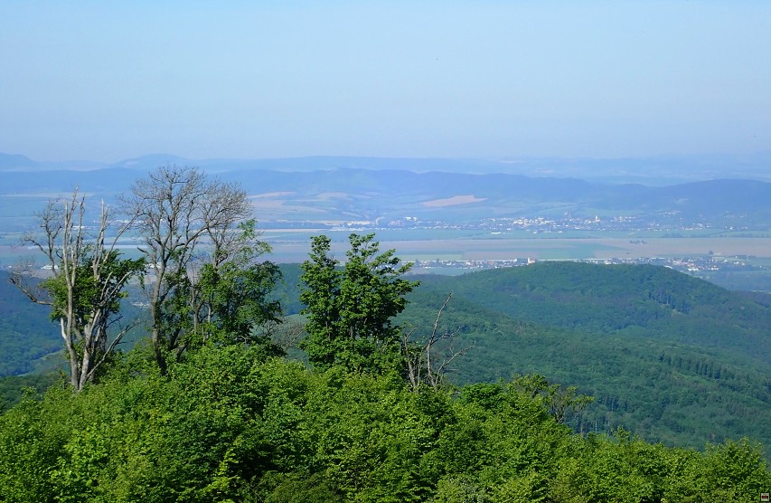img00011.jpg