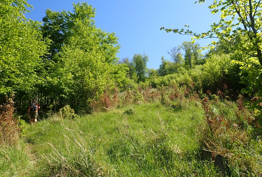 img00014.jpg