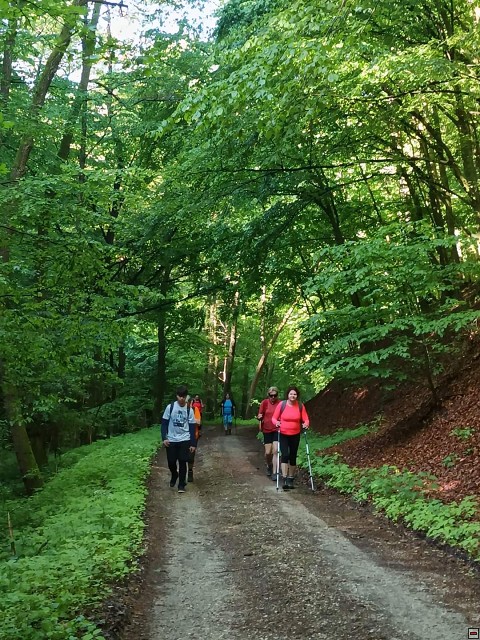 img00020.jpg