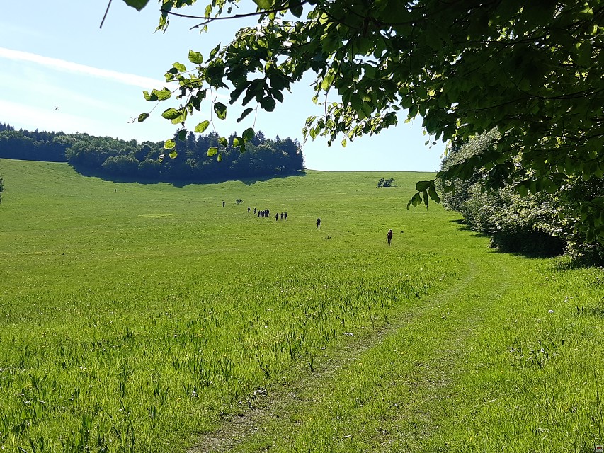 img00027.jpg