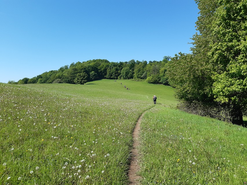 img00035.jpg