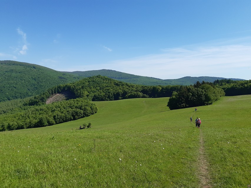 img00037.jpg