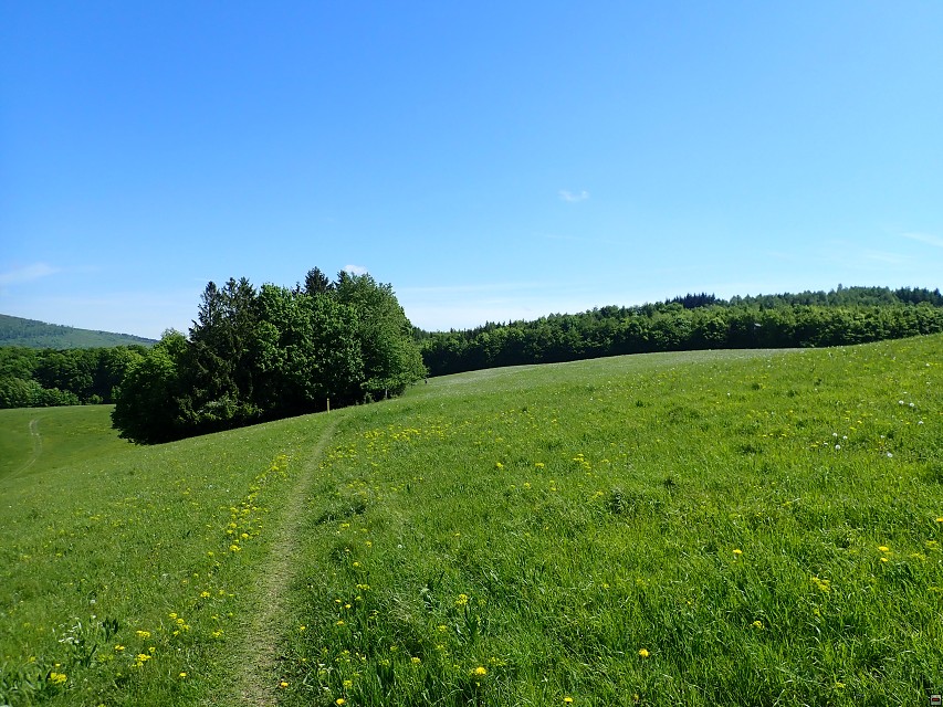 img00039.jpg