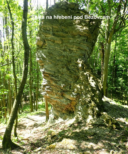 img00041.jpg