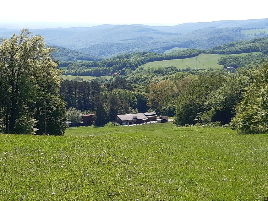 img00051.jpg