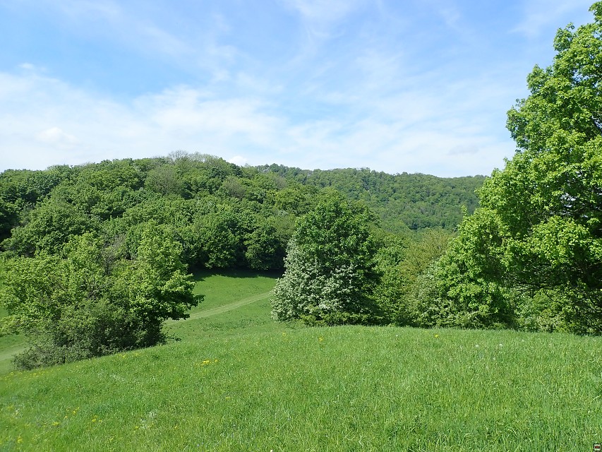 img00064.jpg