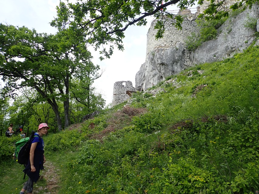 img00072.jpg
