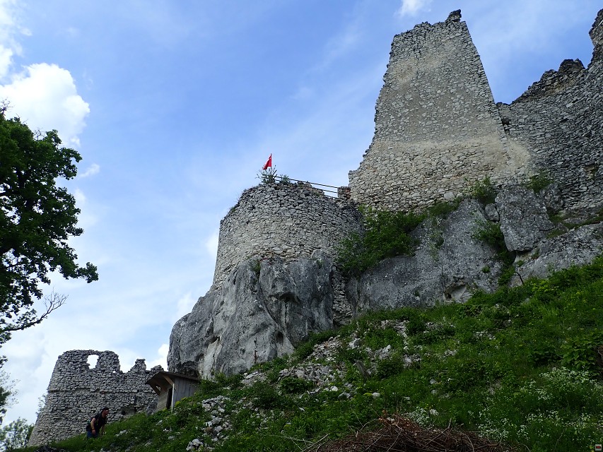 img00073.jpg