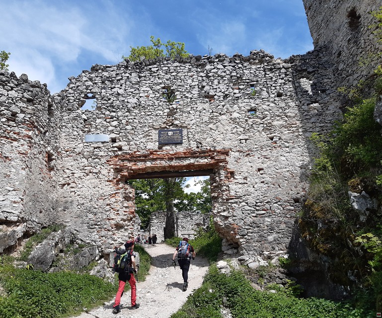 img00075.jpg