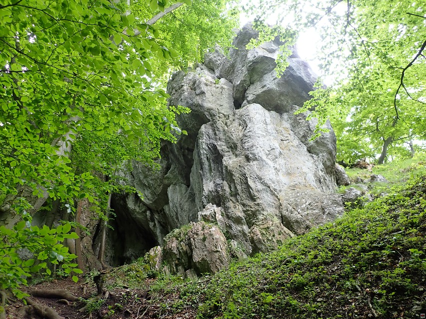 img00094.jpg