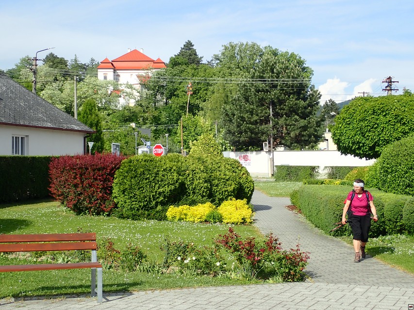 img00098.jpg