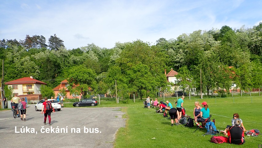 img00099.jpg