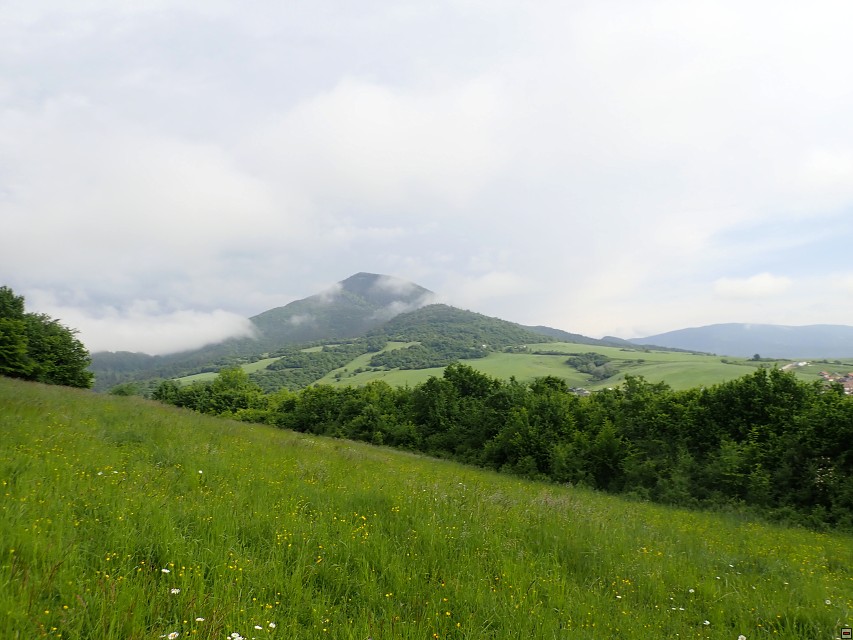 img00004.jpg