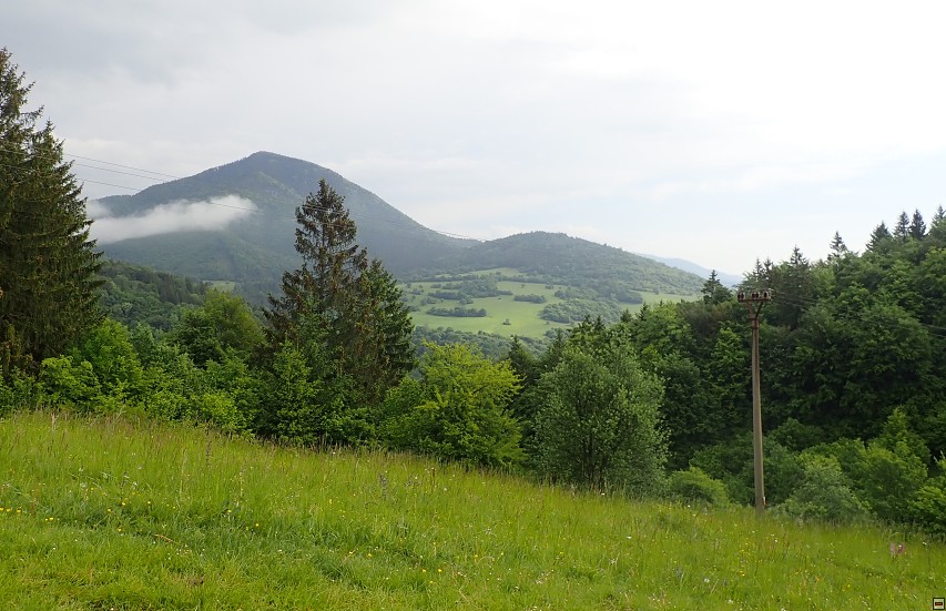 img00009.jpg