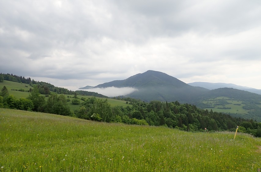img00012.jpg