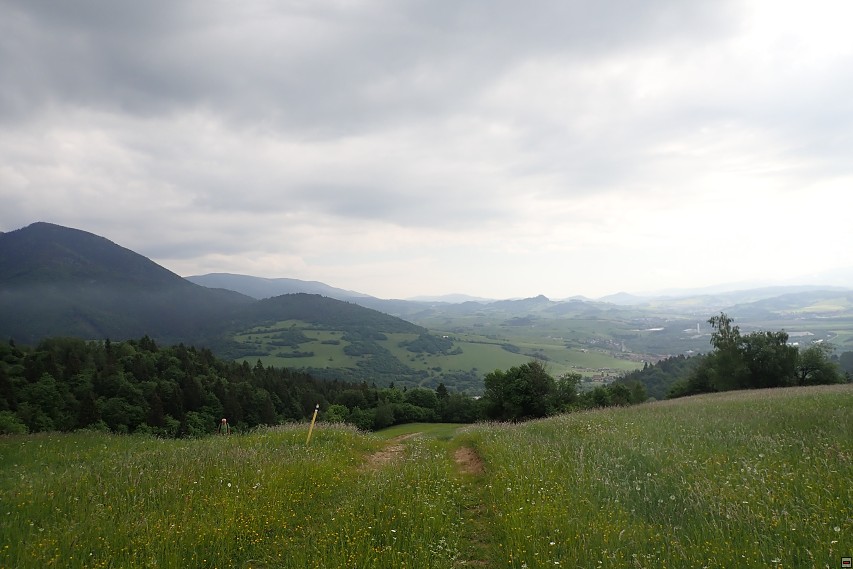 img00013.jpg