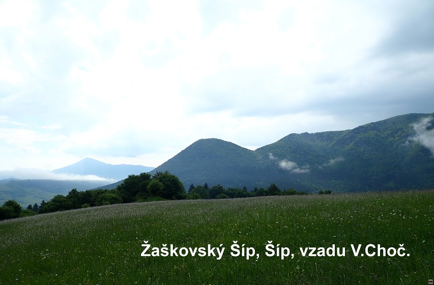 img00014.jpg