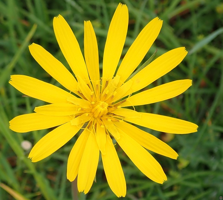 img00015.jpg