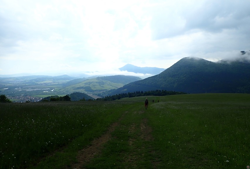 img00016.jpg