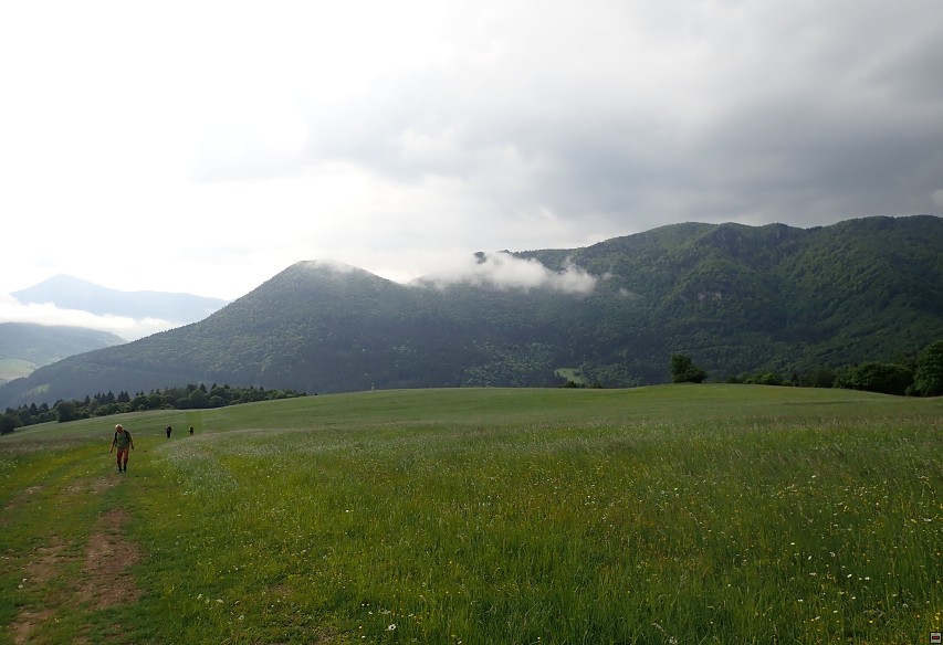 img00017.jpg