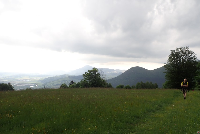 img00020.jpg