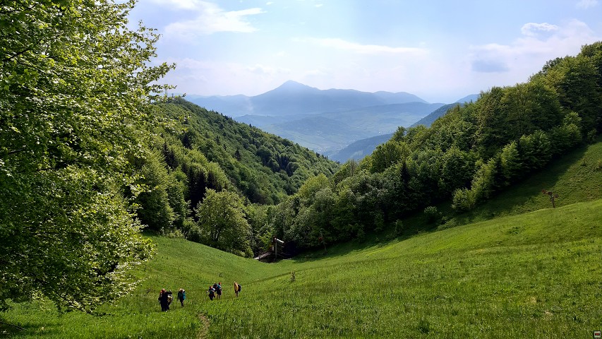 img00024.jpg
