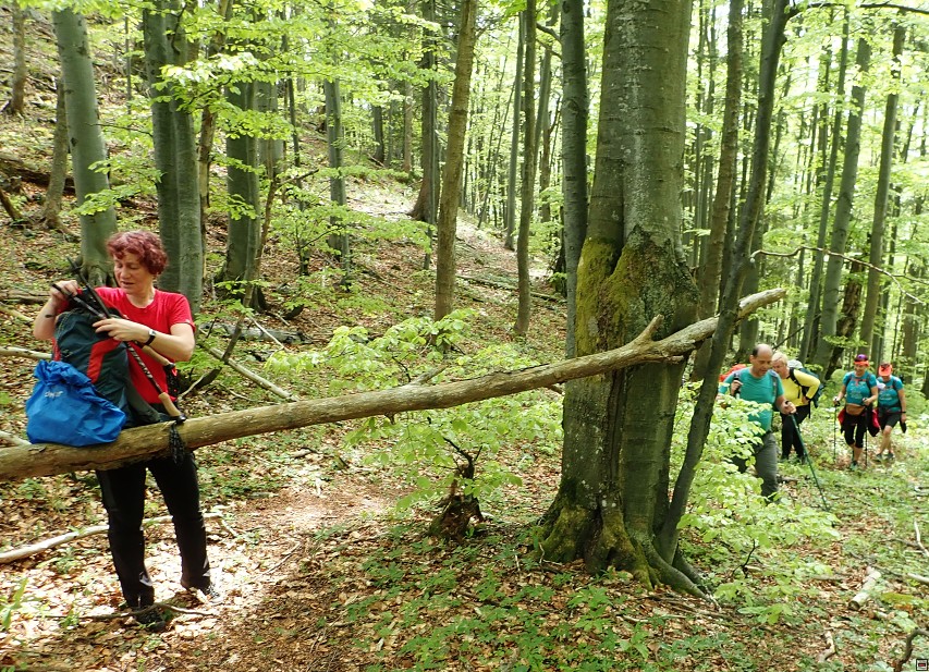 img00025.jpg