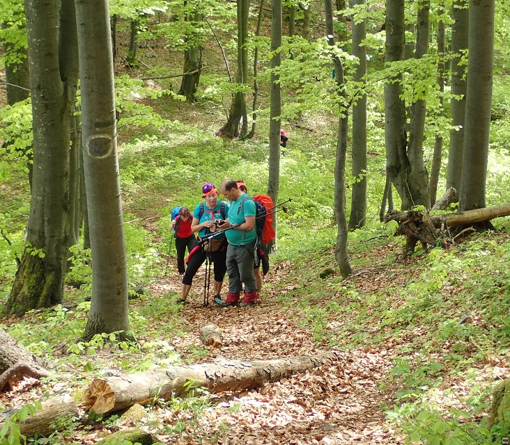 img00027.jpg