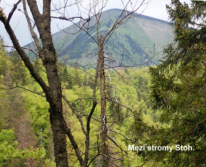 img00028.jpg