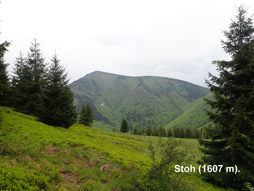 img00034.jpg