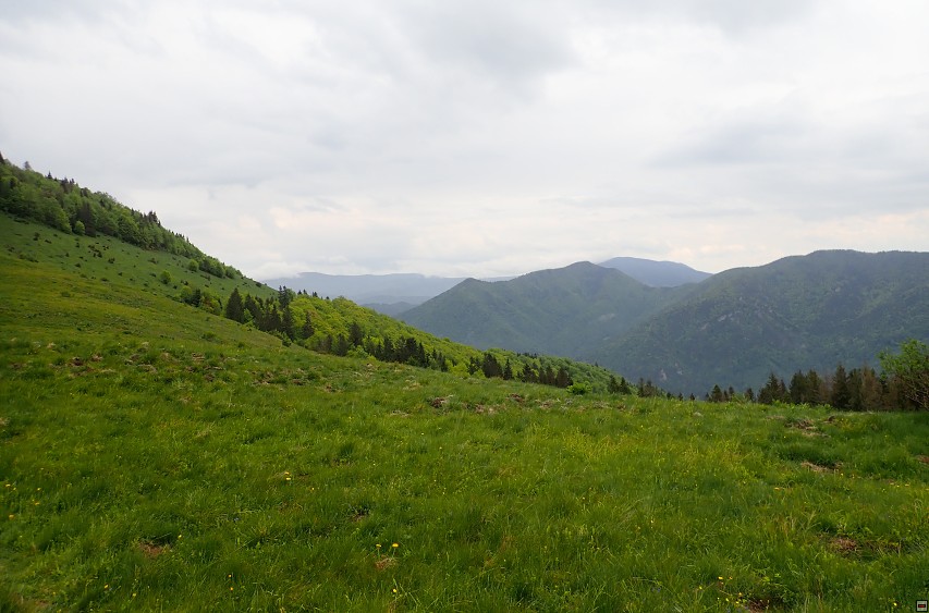 img00040.jpg