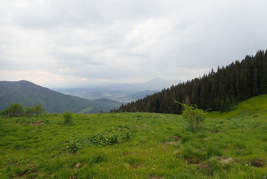 img00041.jpg
