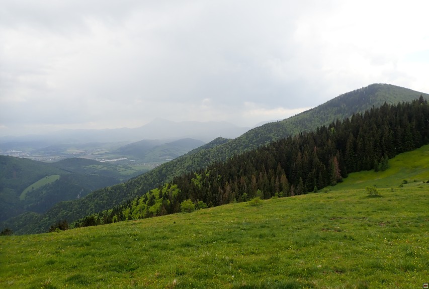 img00042.jpg