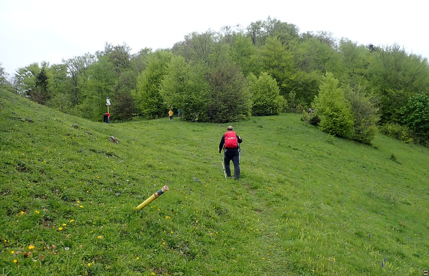 img00043.jpg