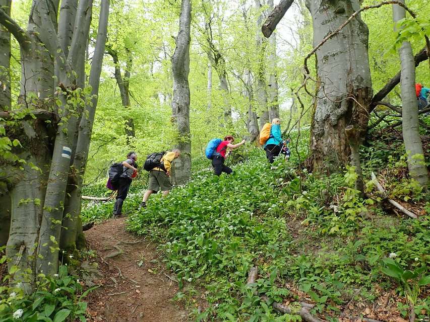 img00047.jpg