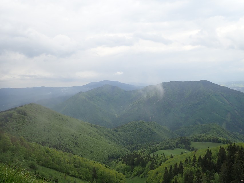 img00054.jpg