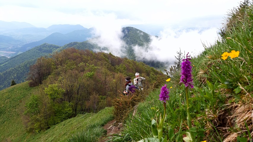 img00057.jpg