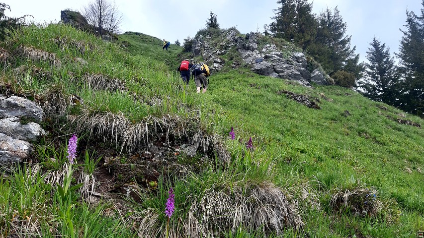 img00060.jpg