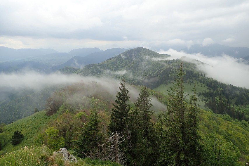img00061.jpg