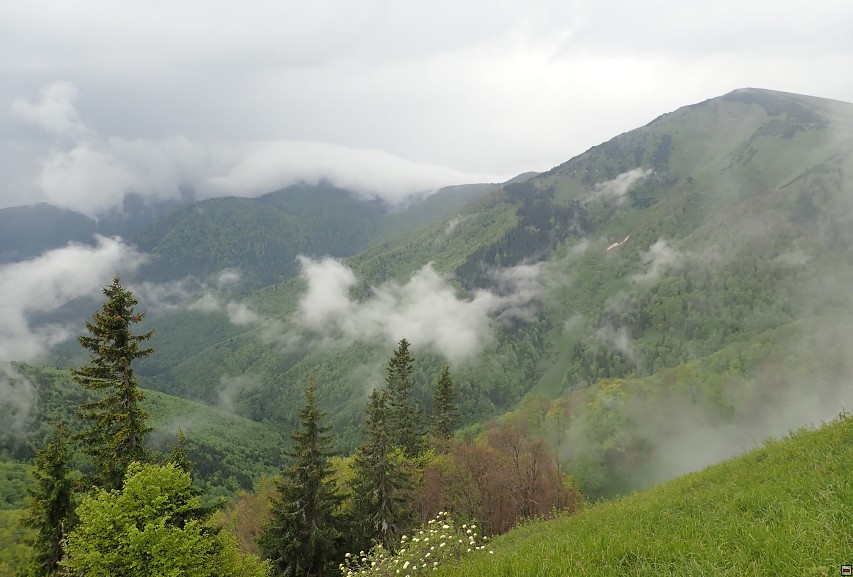 img00062.jpg
